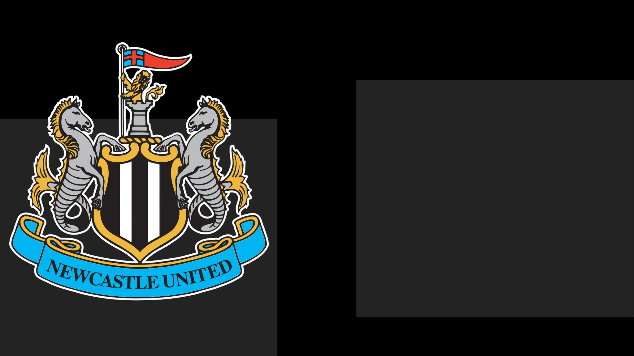 Newcastle's boss Praises Team's Heart – But It Only Takes Them This Far