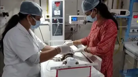 Baby Buried Alive in the Country Battles for Survival