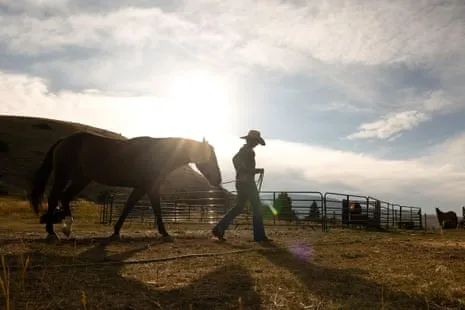 Meet the US Women Ranchers Transforming Modern Farm Life
