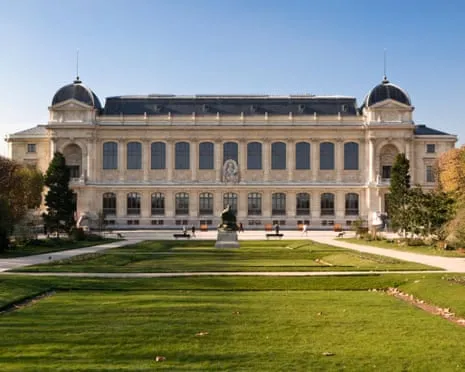 Invaluable Gold Specimens Taken in Bold Raid at France's National Institution